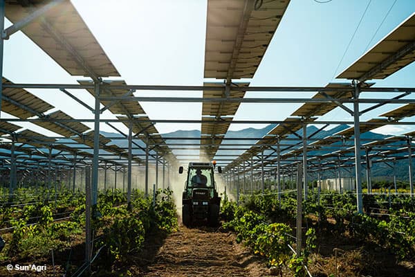 Agrivoltaic solar installation with crops growing underneath
